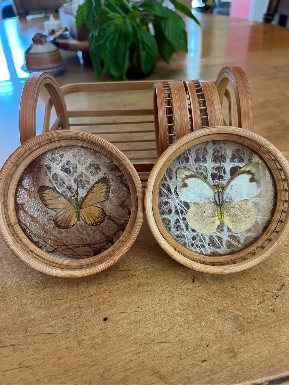 Vintage 1960s Retro Bamboo Butterfly Coaster Set six